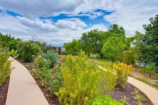 3538 Cazador Ln, Fallbrook, CA 92028 - Photo 68