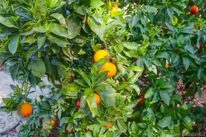  9431 W Lilac Rd, Escondido, CA 92026 - Photo 44