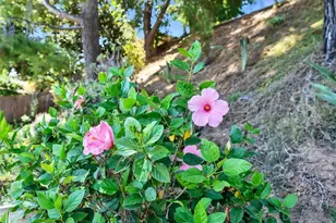 14520 Hillndale Way, Poway, CA 92064 - Photo 46