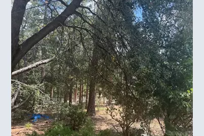  00 Big Pine, Idyllwild, CA 92549 - Photo 1