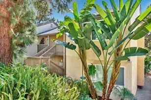 3134 Via Alicante, La Jolla, CA 92037 - Photo 32