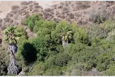  Proctor Valley #595-020-70-00, Chula Vista, CA 91914 - Photo 2