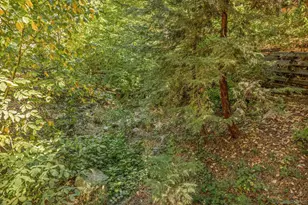 625 Cottage Grove Rd, Lake Arrowhead, CA 92352 - Photo 4