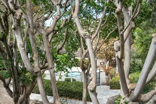 9760 Mesa Springs, San Diego, CA 92126 - Photo 28