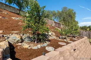 9092 Buckwheat, San Diego, CA 92129 - Photo 66