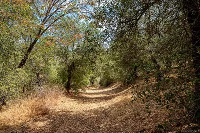  3525 Deer Lake Park Rd, Julian, CA 92036 - Photo 50