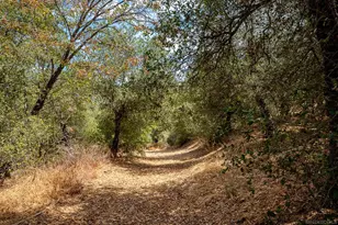 3525 Deer Lake Park Rd, Julian, CA 92036 - Photo 50