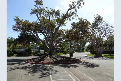  2306 Caminito Andada, San Diego, CA 92107 - Photo 6