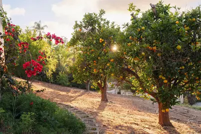  18136 Via Ascenso, Rancho Santa Fe, CA 92067 - Photo 32
