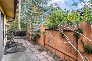 8384 Sugarman Dr, La Jolla, CA 92037 - Photo 32