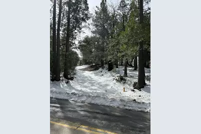  Lot 8 Saunders Meadow Road #8, Idyllwild, CA 92549 - Photo 4