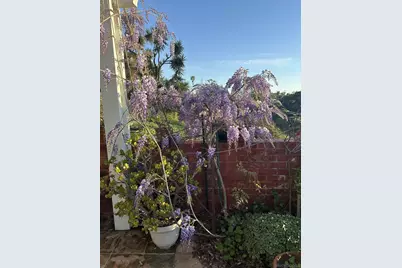  4804 60th St, San Diego, CA 92115 - Photo 24