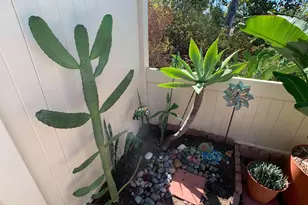 7000 S Saranac, La Mesa, CA 91942 - Photo 36