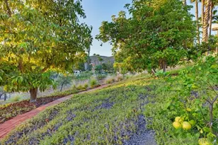 14697 Hidden Wood, Jamul, CA 91935 - Photo 60