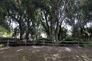 13754 Caminito Vizzini, San Diego, CA 92129 - Photo 4