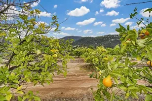1478 Peutz Valley Rd, Alpine, CA 91901 - Photo 28