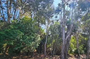 2412 Altisma Way, Carlsbad, CA 92009 - Photo 34