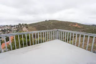 9802 Eucalyptus St, Spring Valley, CA 91977 - Photo 30