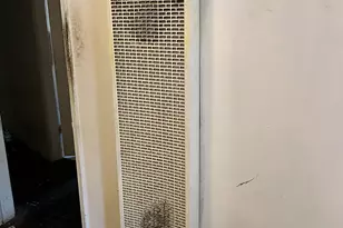 2011 S Point View St, Los Angeles, CA 90034 - Photo 12