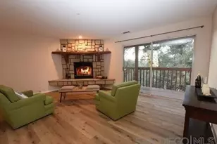 9502 Elm Dr, Descanso, CA 91916 - Photo 12