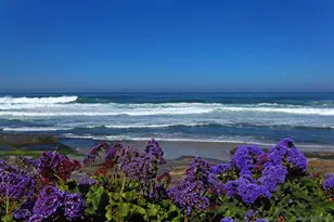 302 Prospect St, La Jolla, CA 92037 - Photo 24