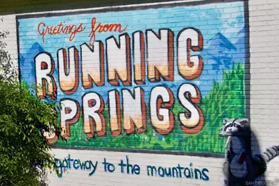  32065 Hunsaker Way #12, Running Springs, CA 92382 - Photo 26