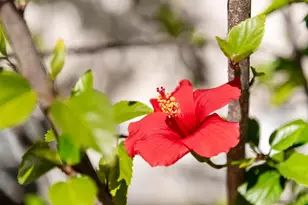 14274 Woodcreek Rd, Poway, CA 92064 - Photo 48