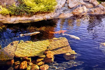  4588 Conrad Drive, La Mesa, CA 91941 - Photo 16