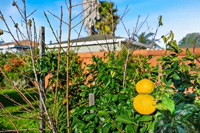  720 Fern St, Escondido, CA 92027 - Photo 26