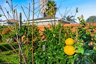 720 Fern St, Escondido, CA 92027 - Photo 26