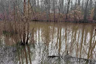 3465 Hwy 92, Enoree, SC 29335 - Photo 34