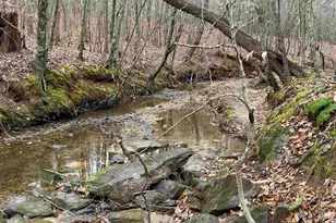 3465 Hwy 92, Enoree, SC 29335 - Photo 38