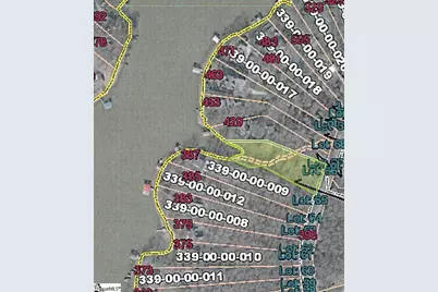 409 Ridgewood Drive, Waterloo, SC 29384 - Photo 2