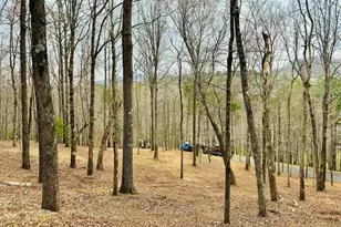 101 Crystal Brk Trl, Travelers Rest, SC 29690 - Photo 1