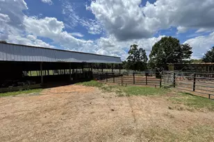 31 Doughtery Dr, Cross Hill, SC 29332 - Photo 26