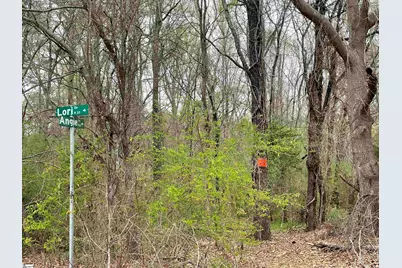 00 Highway 146, Simpsonville, SC 29681 - Photo 1