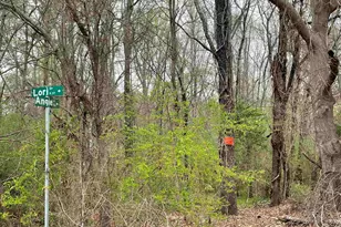 00 Hwy 146, Simpsonville, SC 29681 - Photo 1