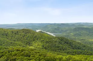 4 Morning Glory Way, Landrum, SC 29356 - Photo 40