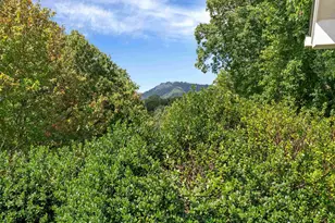 118 Blue Teal Way, Landrum, SC 29356 - Photo 36