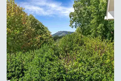 118 Blue Teal Way, Landrum, SC 29356 - Photo 30