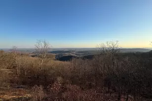 118 Blue Teal Way, Landrum, SC 29356 - Photo 32