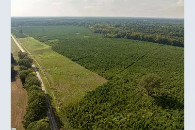 006 Young Road, Clinton, SC 29325 - Photo 18