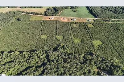 006 Young Road, Clinton, SC 29325 - Photo 14