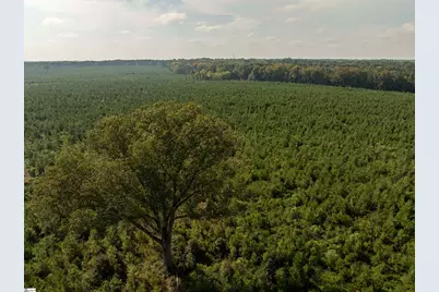 006 Young Road, Clinton, SC 29325 - Photo 20