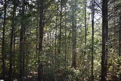 0 Holland Drive #Lot 3, Columbus, NC 28722 - Photo 8