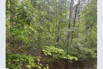 0 Lake Forest Drive, Abbeville, SC 29620 - Photo 4