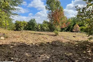 00 Birkdale Dr, Mill Spring, NC 28756 - Photo 8