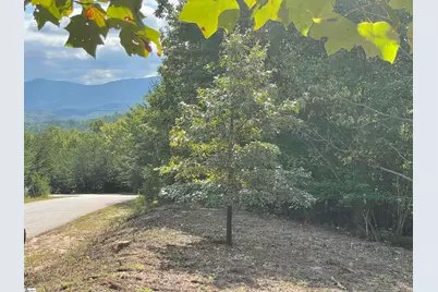 00 Birkdale Drive, Mill Spring, NC 28756 - Photo 10