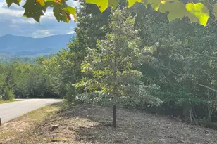 00 Birkdale Dr, Mill Spring, NC 28756 - Photo 10