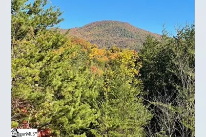 00 Birkdale Drive, Mill Spring, NC 28756 - Photo 4